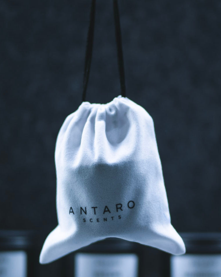 The Anywhere Collection protective cloth bag